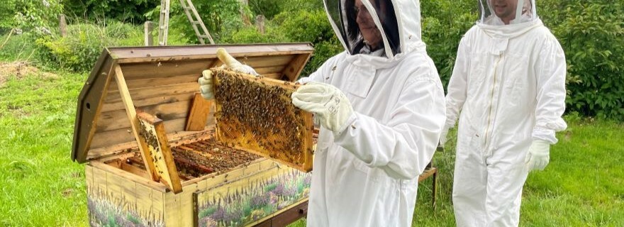 Rodinný den mezi včelami: zážitek, který nás úplně ovčelil