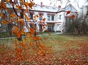 Kozlova škola čepování piva + prohlídka pivovaru Velké Popovice
