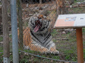 Ošetřovatelem v zoo + nocování