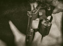 Venkovní úniková hra v Děčíně: Mafiáni