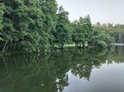 Cesta za pravěkým pokladem: Venkovní úniková hra v Brně