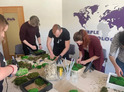 Course of making moss paintings