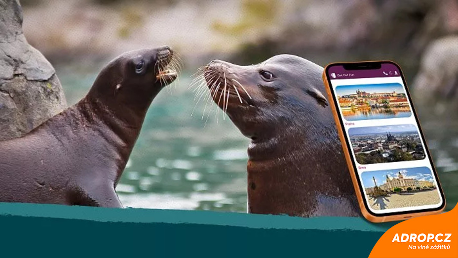 Venkovní úniková hra ve Zlíně, Zoo Lešná: Zachraňte lachtany