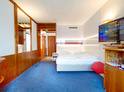 Wellness pobyt ve Vídni ve Vienna Sporthotel 4*