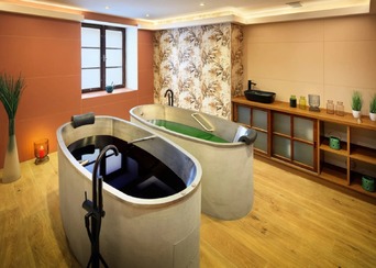 Ozdravný pobyt s chlorellou a polopenzí, Hotel Zlatá Hvězda Třeboň ****