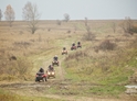 Terénní jízda na čtyřkolce je parádní zábava