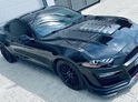 Jízda ve voze Ford Mustang GT 5.0 V8 kit SHELBY