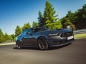 Ford Mustang Dark Horse 5.0 V8
