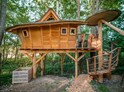 Ubytování v tree housu s vlastní saunou