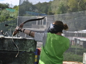 Archery