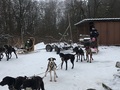 Foto bei der Überprüfung