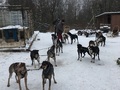Foto bei der Überprüfung