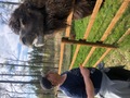 Фото на огляді
