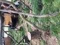 Фото на огляді