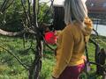 Фото на огляді