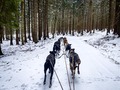 Foto bei der Überprüfung