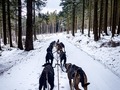 Foto bei der Überprüfung