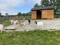 Фото на огляді