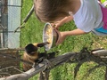Фото на огляді