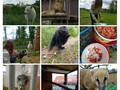 Фото на огляді