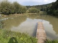Фото на огляді