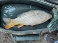Фото на огляді