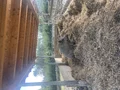 Фото на огляді