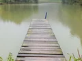 Фото на огляді