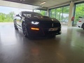 Fotka u recenze