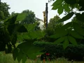 Fotka u recenze