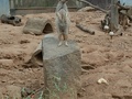 Фото на огляді