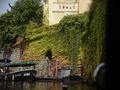 Fotka u recenze