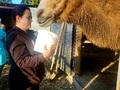 Foto bei der Überprüfung
