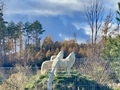 Фото на огляді