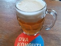 Fotka u recenze