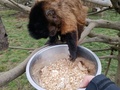 Фото на огляді