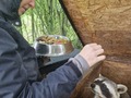 Фото на огляді