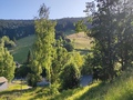 Foto bei der Überprüfung