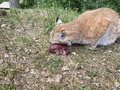 Foto bei der Überprüfung