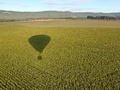 Фото на огляді