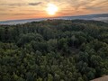 Фото на огляді