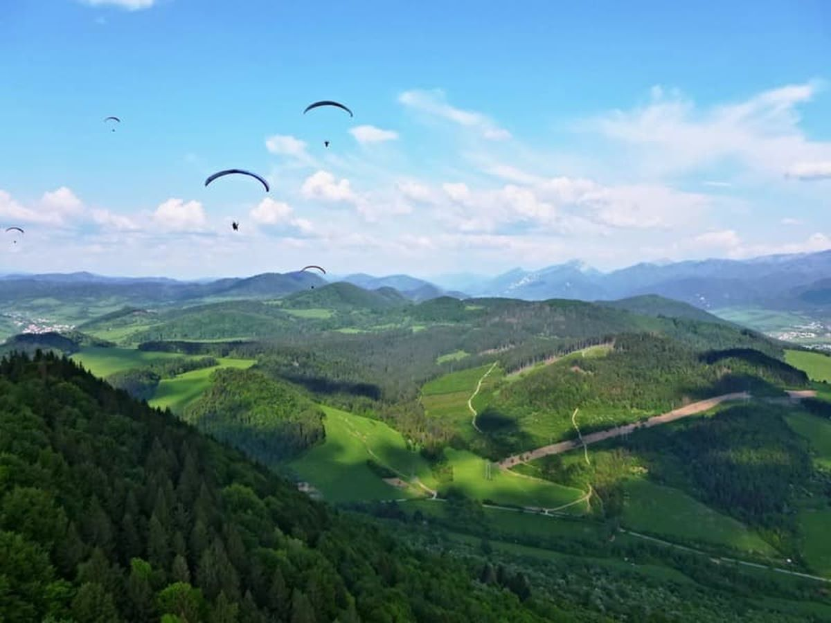 Tandem paragliding Tandem paragliding