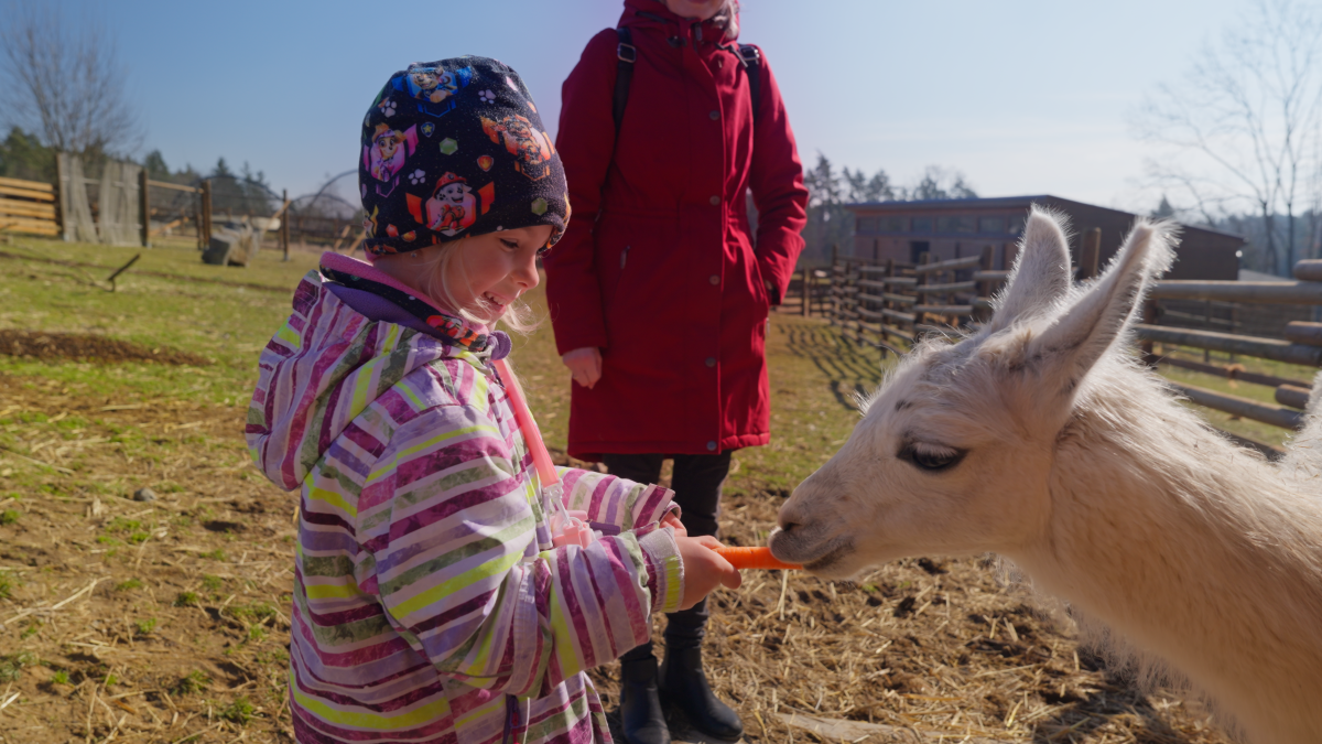 ošetřovatelem v ZOO Tábor ošetřovatelem v ZOO Tábor