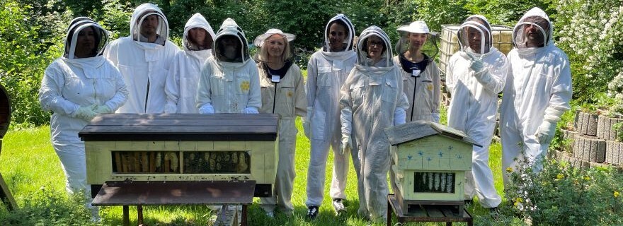 Teambuilding medzi včelami: Ako sme na jeden deň vymenili kanceláriu za včelí úľ