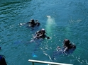 3-dňový kurz freedivingu na otvorenej vode