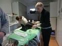 Ošetrovateľ v útulku na skúšku | Piešťany