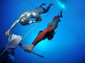 2-hodinový kurz freedivingu v bazéne