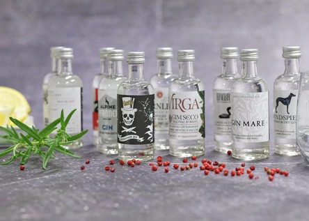 Degustačný box ginov z celého sveta: 10 vzoriek